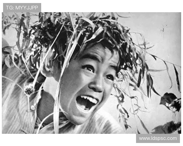 《二婶》：一段平凡人生的史诗，一场温暖人心的情感之旅